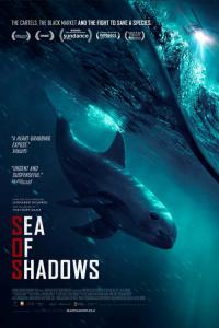 Sea of Shadows 2019 WEBRip x264-CAFFEiNE