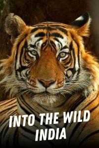 Into the Wild: India 2018 S01 720p.10bit.WEBRip.x265-budgetbits