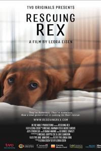 Rescuing Rex 2020 720p WEB HEVC x265