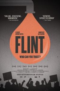 BBC.Flint.Who.Can.You.Trust.1080p.HDTV.x265.AAC.MVGroup.org.mkv