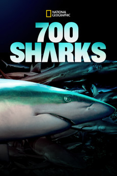 700 Sharks Documentary مستند