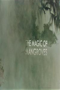 The.Magic.of.Mangroves.1080p.HDTV.x264.AAC.MVGroup.org.mp4