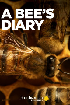 A Bee’s Diary Documentary مستند