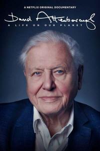 David.Attenborough.A.Life.on.Our.Planet.2020.720p.NF.WEBRip.800MB.x264-GalaxyRG