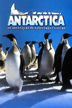 Antarctica Documentary مستند