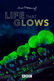 Attenborough’s Life That Glows Documentary مستند