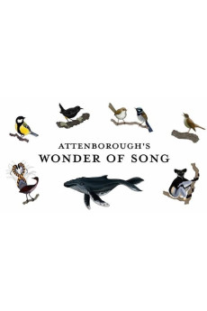 Attenborough’s Wonder of Song Documentary مستند