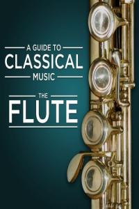 Various Artists – A Guide to Classical Music The Flute (2024) Mp3 320kbps [PMEDIA] ⭐️