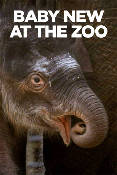 Baby New at the Zoo Documentary مستند