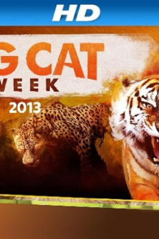 Big Cat Week Big Cat Games Documentary مستند