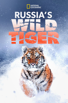 Big Cat Week Russia’s Wild Tiger Documentary مستند