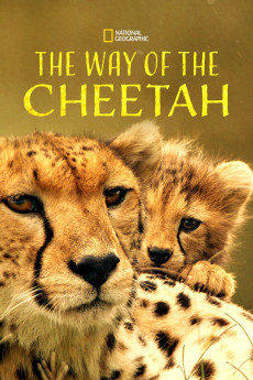 Big Cat Week The Way of the Cheetah Documentary مستند