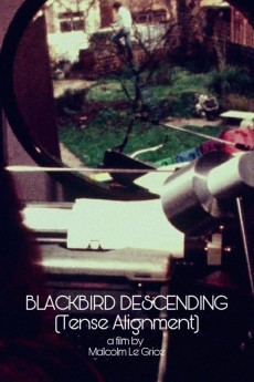 Blackbird Descending Documentary مستند