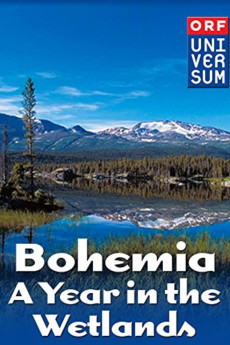 Bohemia: A Year in the Wetlands Documentary مستند