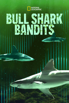 Bull Shark Bandits Documentary مستند