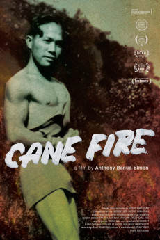 Cane Fire Documentary مستند