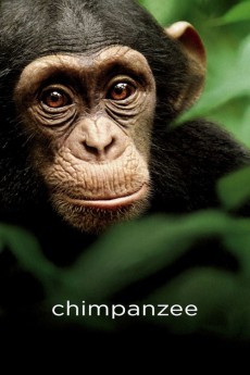 Chimpanzee Documentary مستند