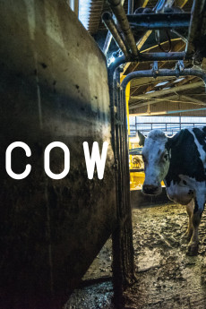 Cow Documentary مستند