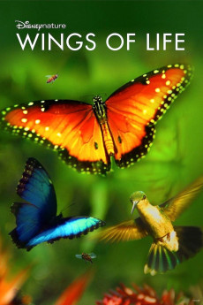 Disneynature: Wings of Life Documentary مستند