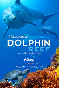 Dolphin Reef Documentary مستند