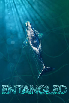 Entangled: The Race to Save Right Whales from Extinction Documentary مستند