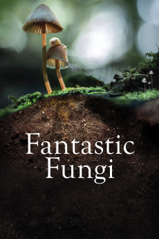 Fantastic Fungi Documentary مستند