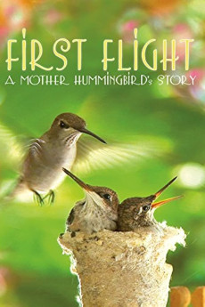 First Flight: A Mother Hummingbird’s Story Documentary مستند