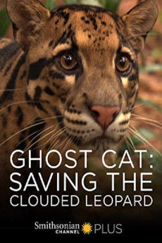 Ghost Cat: Saving the Clouded Leopard Documentary مستند