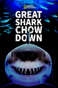 Great Shark Chow Down Documentary مستند