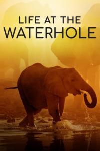 Life at the Waterhole 2021 S01 720p.10bit.WEBRip.x265-budgetbits