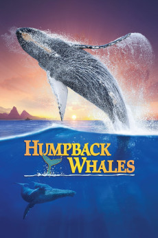 Humpback Whales Documentary مستند