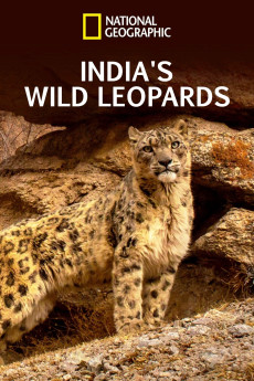 India’s Wild Leopards Documentary مستند