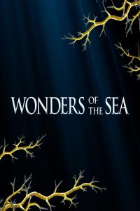 Wonders of the Sea – Le meraviglie del mare (2017).720p.H264.italian.english.Ac3-5.1.sub.ita-MIRCrew