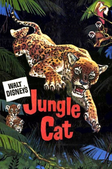 Jungle Cat Documentary مستند