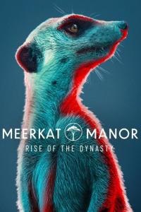 Meerkat Manor: Rise of the Dynasty S01 2021 720p.10bit.WEBRip.x265-budgetbits