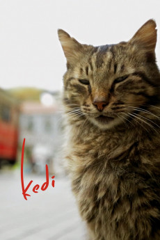 Kedi Documentary مستند