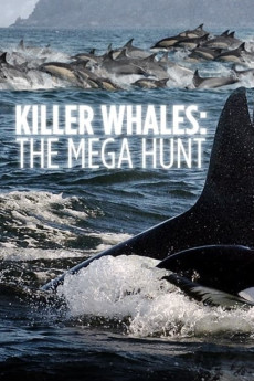 Killer Whales: The Mega Hunt Documentary مستند