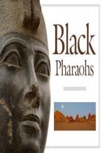 Lost Kingdom of the Black Pharaohs 2019 WEBRip x264-CAFFEiNE