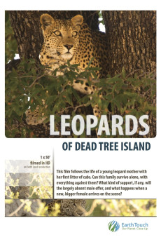 Leopards of Dead Tree Island Documentary مستند