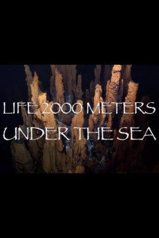 Life 2,000 Meters Under the Sea Documentary مستند