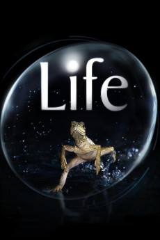 Life Documentary مستند