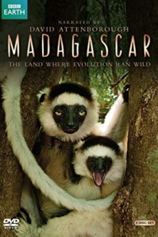 Madagascar Documentary مستند