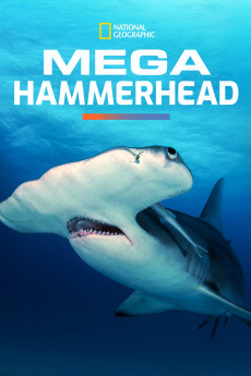 Mega Hammerhead Documentary مستند