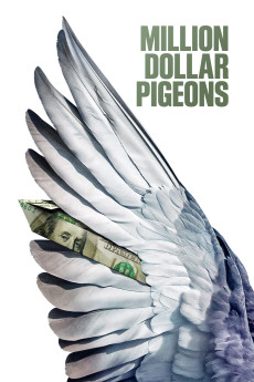 Million Dollar Pigeons Documentary مستند