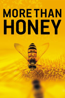 More Than Honey Documentary مستند