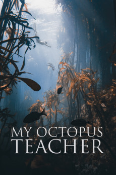 My Octopus Teacher Documentary مستند