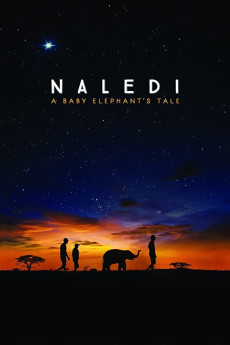 Naledi: A Baby Elephant’s Tale Documentary مستند