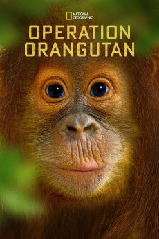 National Geographic Specials Operation Orangutan Documentary مستند