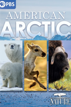 Nature American Arctic Documentary مستند