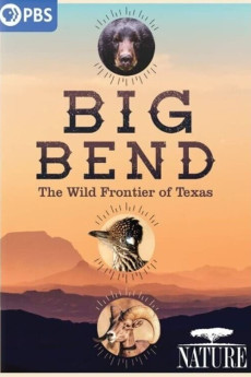 Nature Big Bend: The Wild Frontier of Texas Documentary مستند